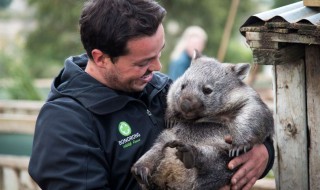 动物园野生动物咬死人怎么赔（动物园咬人的动物怎么处理了?）