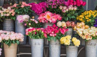 花束怎么能在水里养的时间更长? 花束怎么能在水里养的时间更长一点