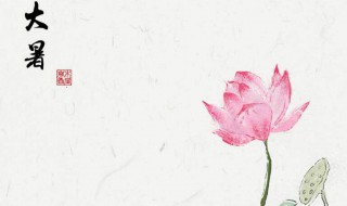 大暑时辰的具体时间（大暑时辰的具体时间表）