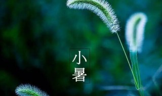 2021年小暑后第一个未日是什么时候 2021小暑是哪一天什么时间