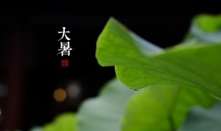 大暑艾灸养生好处多 大暑节气艾灸养生