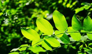 小暑节气的气候特点（大小暑节气的特点是什么）