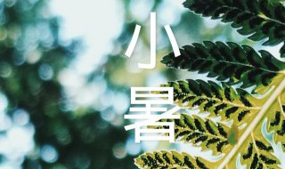 小暑怎么祛暑 小暑注意防暑