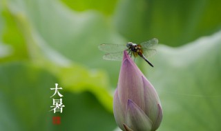 大暑养生重在祛湿养心 大暑养生的关键