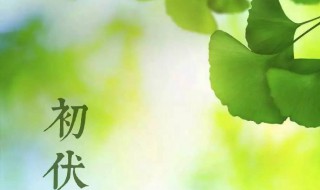 初伏有什么讲究（初伏有啥讲究）