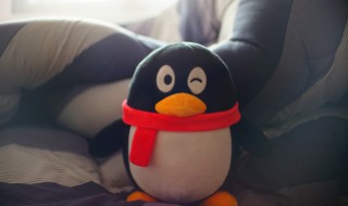 qq怎么解绑手机号 qq怎么解绑手机号不绑定新手机号