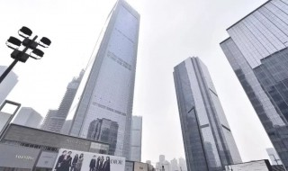 ifs是什么意思（成都ifs是什么意思）