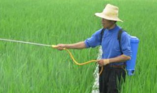 野老除草剂使用方法? 野老除草剂药效多久