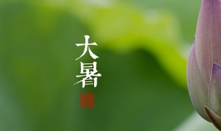 大暑的饮食禁忌（大暑注意饮食）