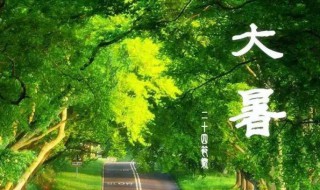 2022年大暑时间几点几分几秒 2022年大暑时间几点几分几秒钟