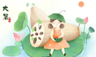 2021年农历大暑是什么时候（2021年大暑是几月几日日几点）