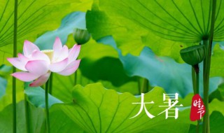 2021年大暑几日几时几分（2021大暑是几月几日日几点）