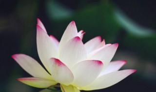 2021年大暑几点几分（2021年大暑是哪一天几时几分几秒）