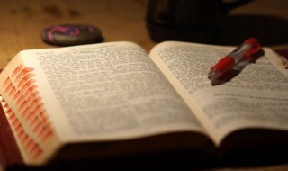 早晨出生的女孩起什么名字好（早晨出生的女孩名字取什么好）