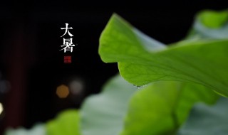 大暑养生要点讲解 大暑养生知识普及