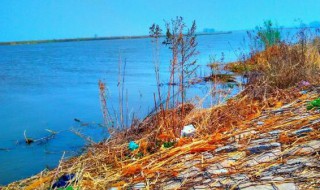 辽河是哪个省哪个市 辽宁省辽河是哪个市