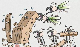 大水蚁和白蚁的区别 白蚁跟水蚁的区别