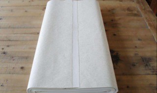 宣纸是非物质文化遗产吗（宣纸传统制作 我国非物质文化遗产）