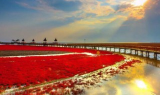 国家的实质是（国家的实质是什么机关）