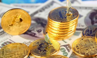 经济安全不包括哪些方面 经济安全不包括什么