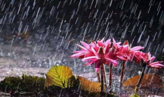 安徽梅雨季节是几月份 安徽梅雨季节是几月份到几月份结束