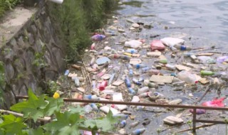 水体污染的四个危害 水体污染危害哪几个方面