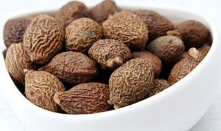 胖大海与罗汉果的区别（胖大海与罗汉果的区别图片）