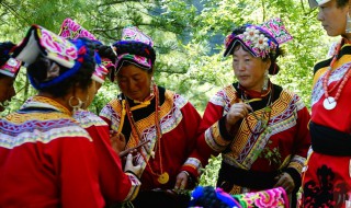 羌族的起源和来历（羌族的起源和来历参考文献）