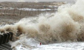 上海海洋灾害主要有什么（上海海洋灾害主要有什么鱼类）