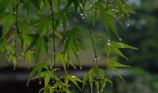 苏州梅雨季节是几月份 苏州梅雨季节是几月份到几月份结束