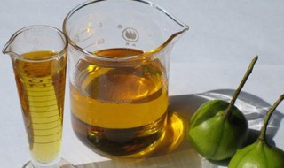 桐油的用途（桐油的用途,看完我都惊呆了）