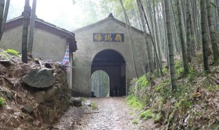梅坞古道在哪里 梅坞岭古道