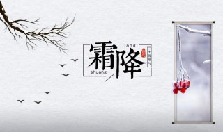 霜降节气习俗介绍最新（霜降节气有什么讲究）