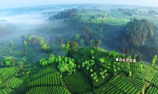 四川气候特点 四川气候特点及原因