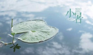 24节气小暑养生应注重什么 关于小暑节气的知识