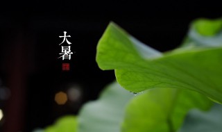 24节气大暑食疗养生 大暑节气饮食