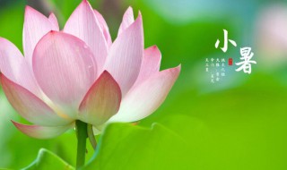 24节气小暑节气的含义是什么（24节气小暑节气的含义是什么意思）