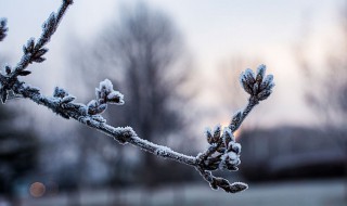 24节气霜降节气意味着什么（霜降节气的含义是什么二十四节气）