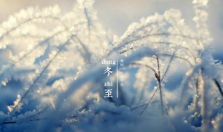 24节气冬至的含义是什么（24节气冬至的含义是什么意思）