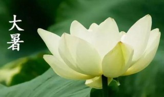 24节气大暑是什么意思（大暑是什么节气什么意思）