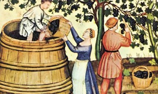 葡萄酒起源是什么（葡萄酒的起源）