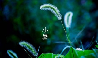 小暑节气的含义及习俗 小暑节气的风俗