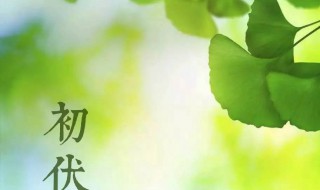 2021什么是三伏天（2021年三伏天是哪三伏）