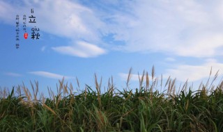 24节气立秋节气的含义是什么 24节气立秋节气的含义是什么意思