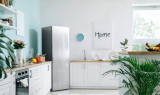 如何清洗冰箱密封条 如何清洗冰箱密封条霉斑