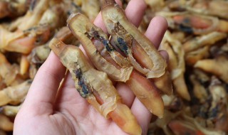 如何清洗蛏干（蛏干怎样清洗）