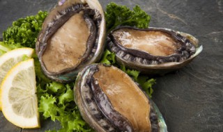 如何鲍鱼清洗干净 怎么清洗鲍鱼才干净