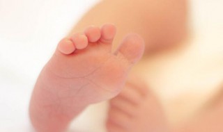 大暑出生的人是什么命（生在大暑的人好吗）