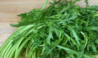 男人为什么不能吃茼蒿（蓬蒿菜的图片）