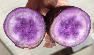 女性为什么不能吃紫薯 女人吃紫薯的坏处